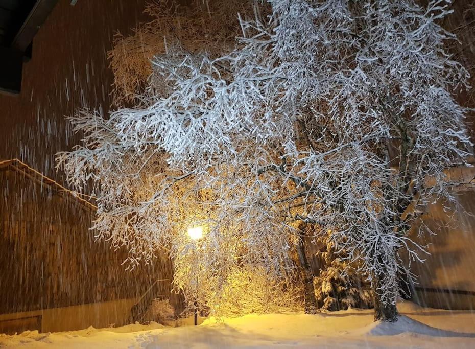 A Cordon Entre Bois Et Nature Exterior foto
